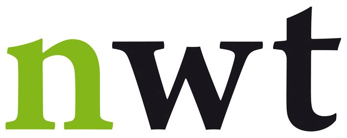 NWT Steuerberatung Logo